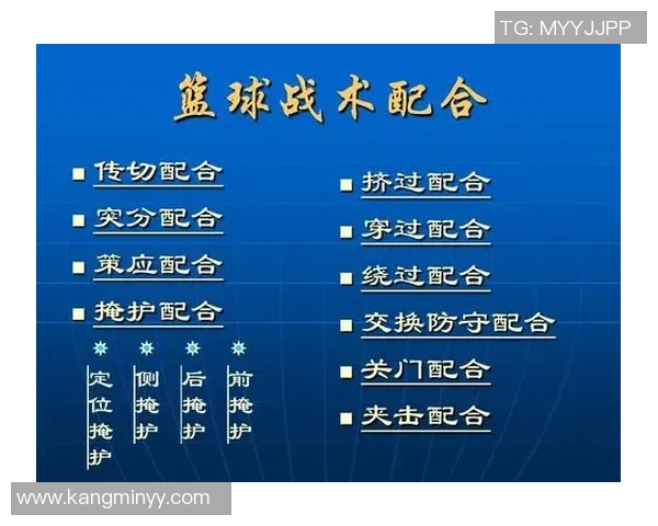 西安排球队快攻战术解析与实战应用探讨