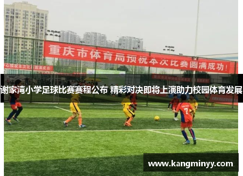 谢家湾小学足球比赛赛程公布 精彩对决即将上演助力校园体育发展