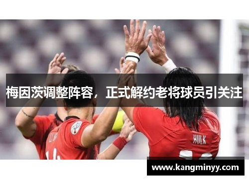 梅因茨调整阵容，正式解约老将球员引关注