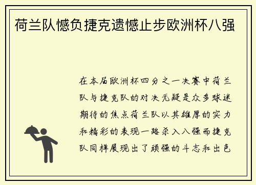荷兰队憾负捷克遗憾止步欧洲杯八强
